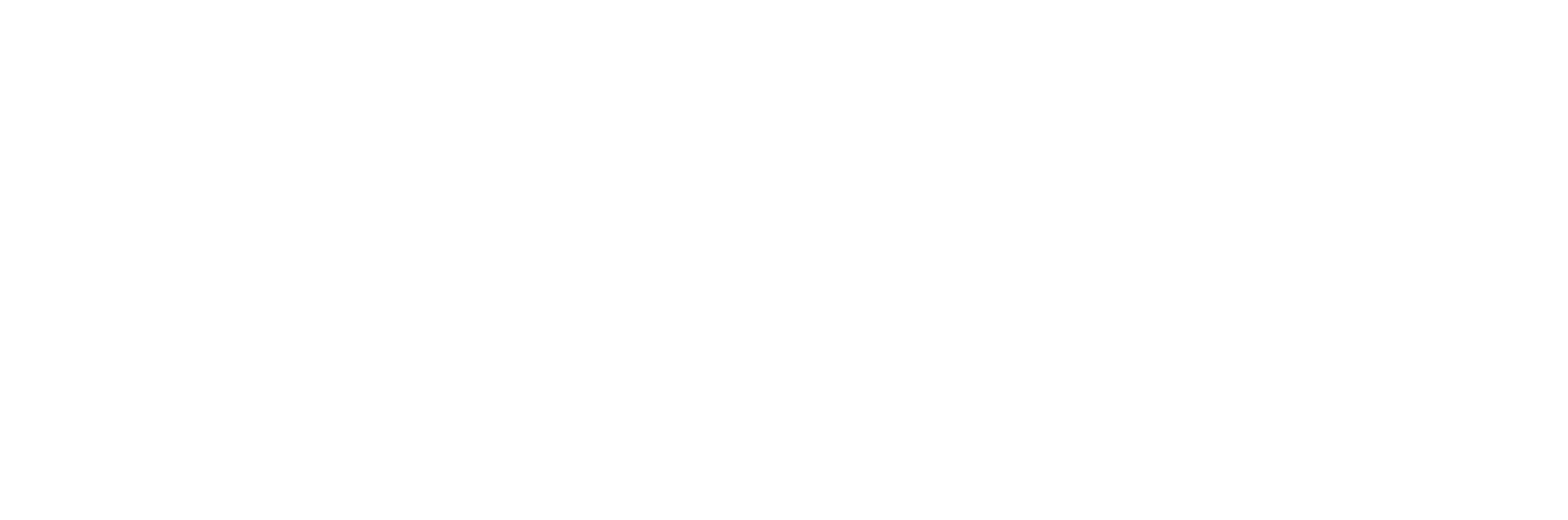 DSG Logo